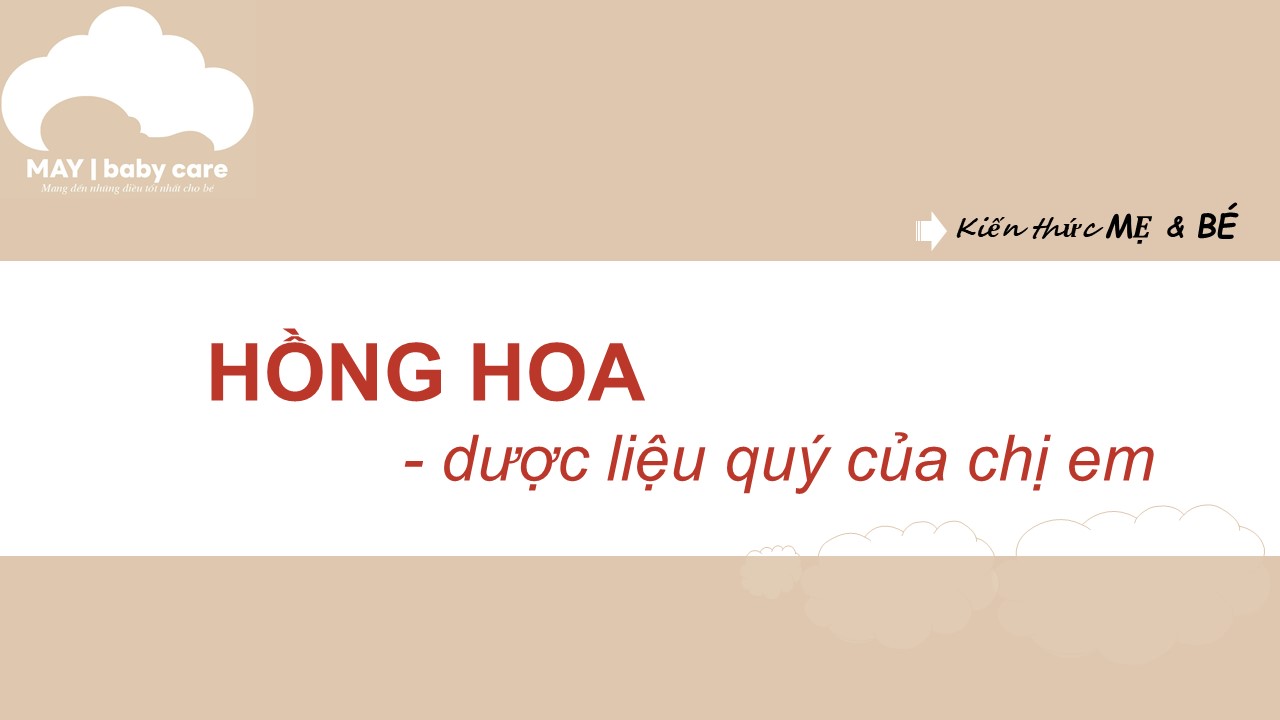 Hồng hoa - dược liệu quý của chi·